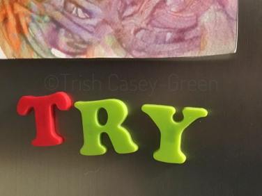 15747837_10212245347792828_7681154613875706397_n