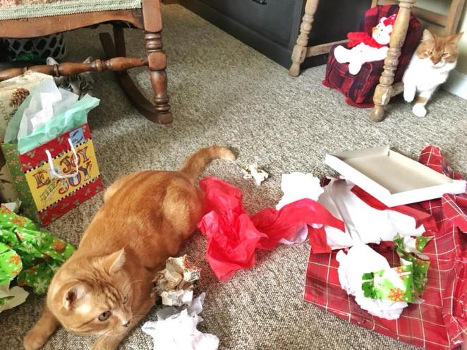 25994754_10215680897719429_3502772179006728973_n