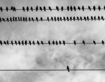 2007 Nov Colonial Heights-25